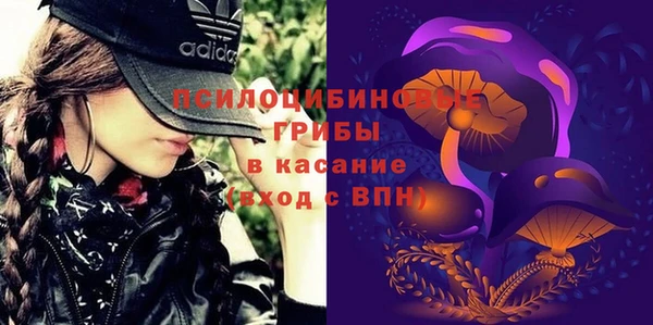 мет Медвежьегорск