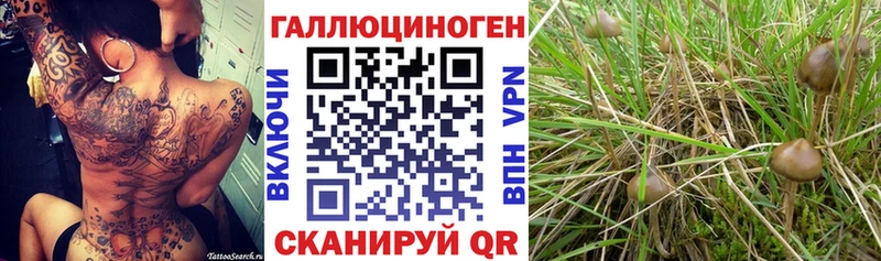 хочу   Могоча  Галлюциногенные грибы ЛСД 